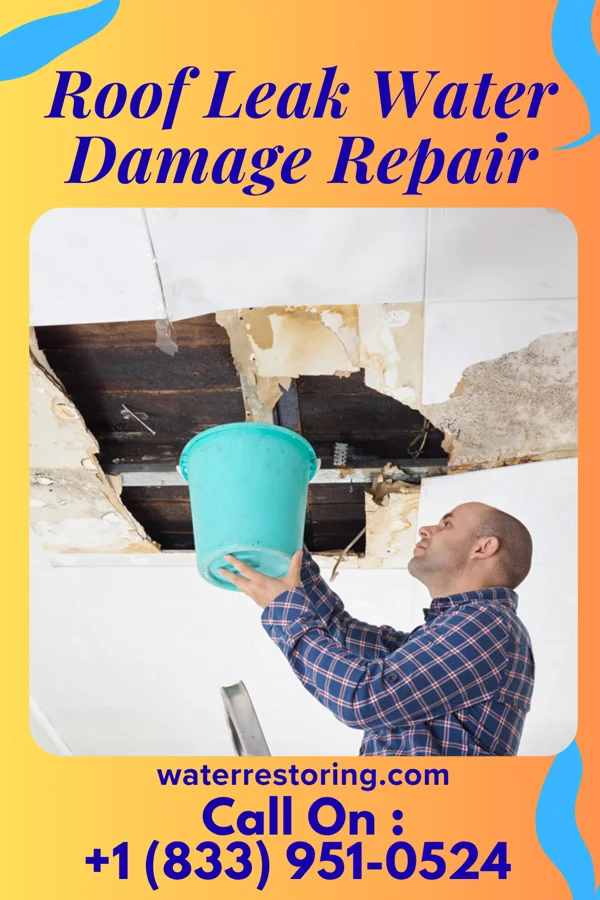 Roof Leak Water Damage Repair in Dayton, WA